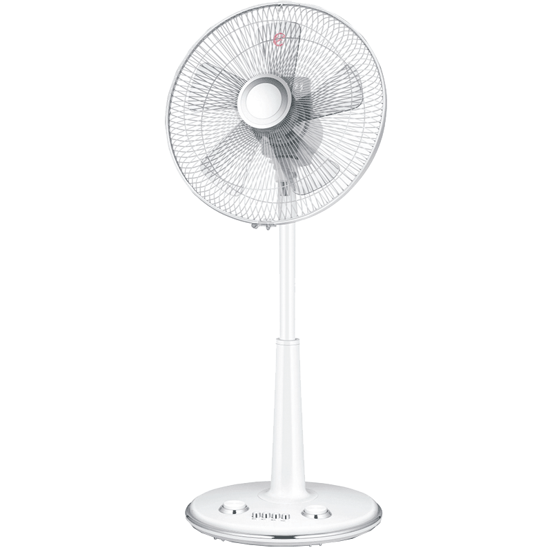 New stand fan TS-21-C