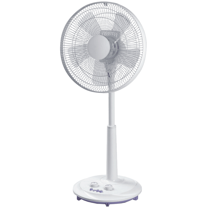 Popular stand fan TS-15-A